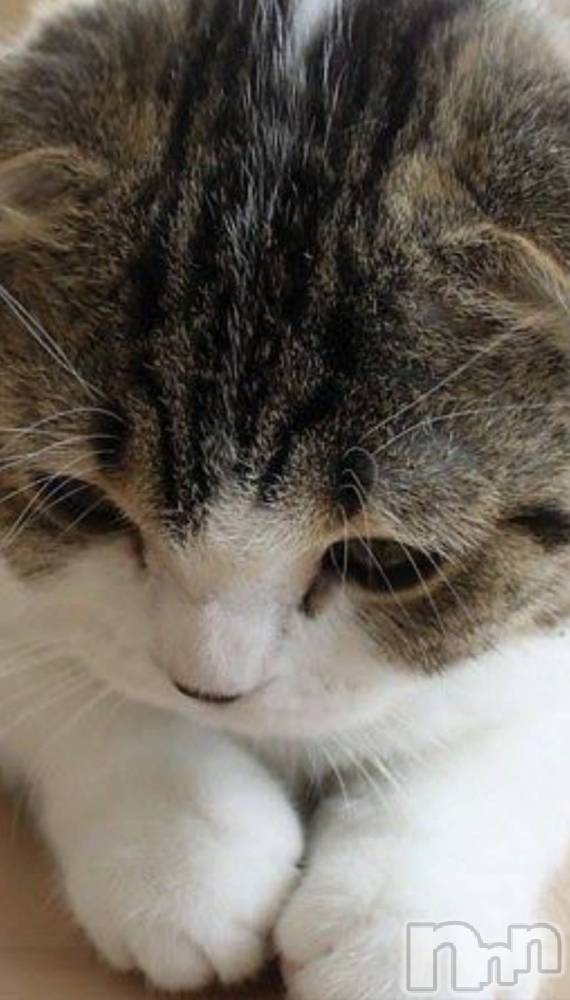 ��ë����Х��顦�����CLUB��Paladin(����֡��ѥ�ǥ���) ���� ���ڤ�5��28���̥�֥�����5��28�� 21��18ʬ�Υ֥�����