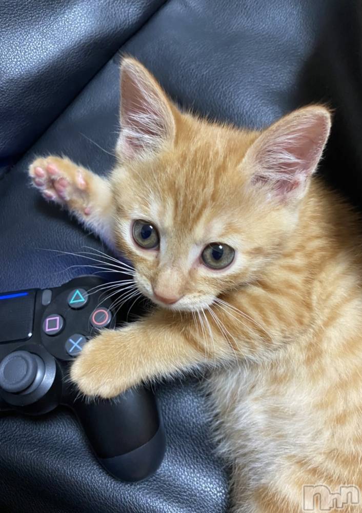 ��ë����Х��顦�����CLUB��Paladin(����֡��ѥ�ǥ���) ���� ���ڤ�11��30���̥�֥�����11��30�� 20��52ʬ�Υ֥�����