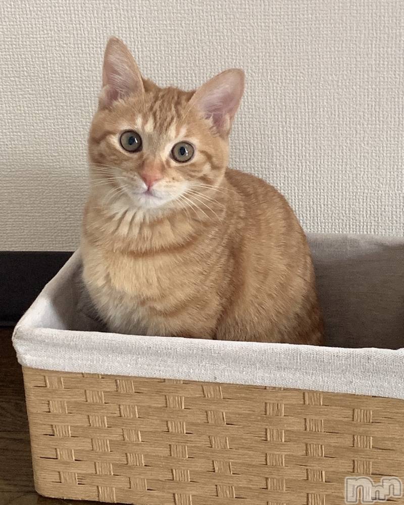 ��ë����Х��顦�����CLUB��Paladin(����֡��ѥ�ǥ���) ���� ���ڤ�12��30���̥�֥�����12��30�� 20��12ʬ�Υ֥�����