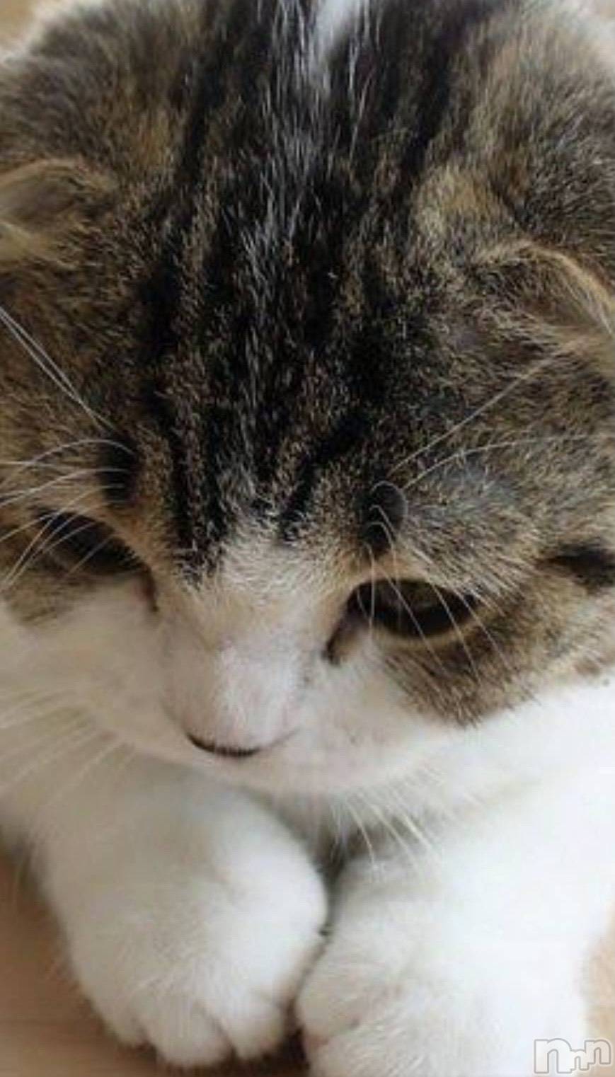 ��ë����Х��顦�����CLUB��Paladin(����֡��ѥ�ǥ���) ��2021ǯ5��19���̥�֥�����5��19�� 21��33ʬ�Υ֥�����