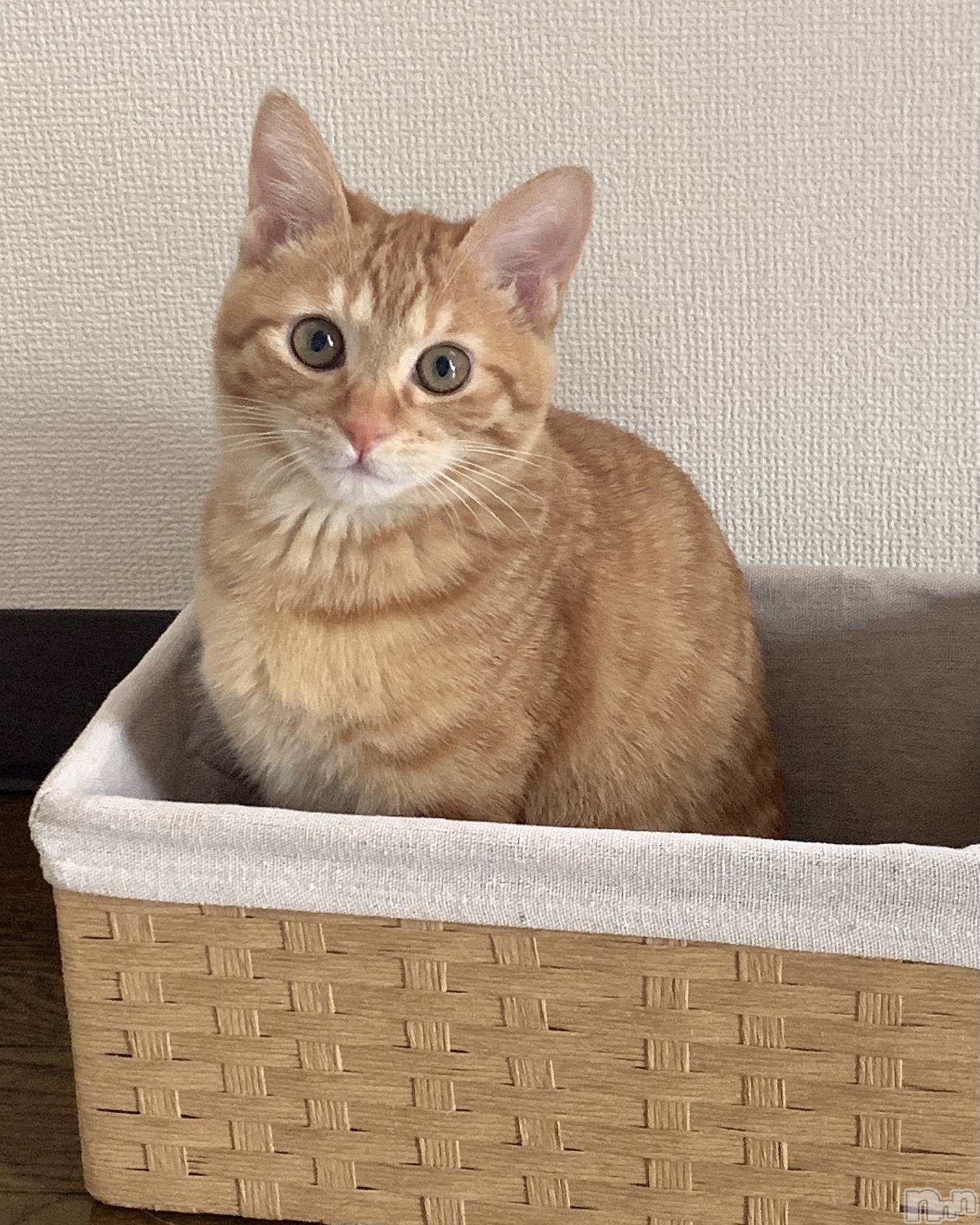 ��ë����Х��顦�����CLUB��Paladin(����֡��ѥ�ǥ���) ��2023ǯ2��11���̥�֥�����2��11�� 21��10ʬ�Υ֥�����