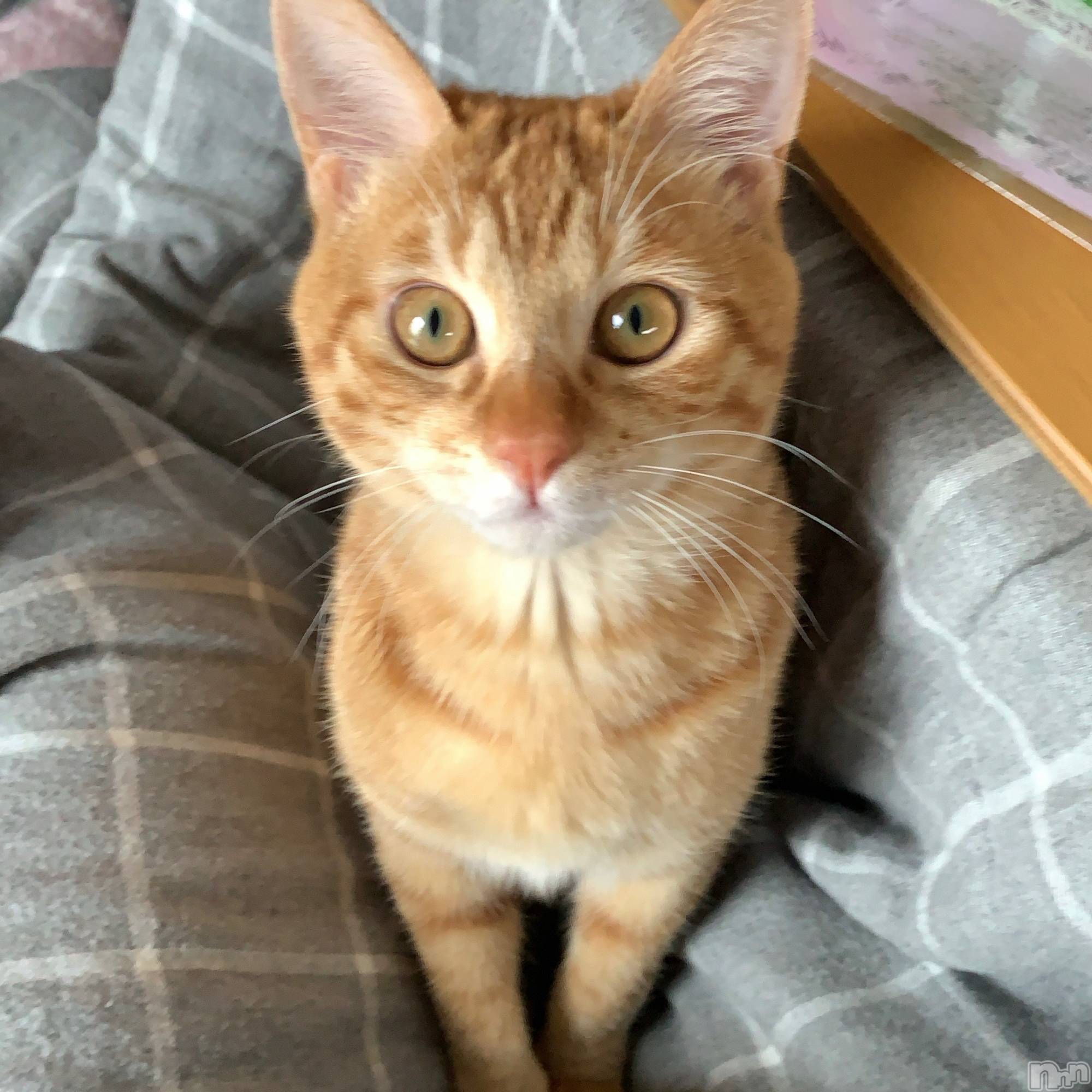 ��ë����Х��顦�����CLUB��Paladin(����֡��ѥ�ǥ���) ��2024ǯ8��23���̥�֥�����8��23�� 21��49ʬ�Υ֥�����