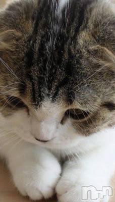 ��ë����Х��顦�����CLUB��Paladin(����֡��ѥ�ǥ���) ���� ���ڤ�6��23���̥�֥�����6��23�� 21��13ʬ�Υ֥�����