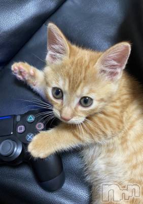 ��ë����Х��顦�����CLUB��Paladin(����֡��ѥ�ǥ���) ���� ���ڤ�11��30���̥�֥�����11��30�� 20��52ʬ�Υ֥�����