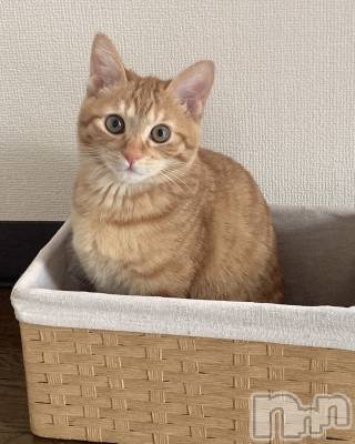 ��ë����Х��顦�����CLUB��Paladin(����֡��ѥ�ǥ���) ���� ���ڤ�6��18���̥�֥�����6��18�� 21��09ʬ�Υ֥�����