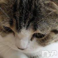 ��ë�ԥ���Х��顦����� CLUB��Paladin(����֡��ѥ�ǥ���) ���� ���ڤβ���(3����)