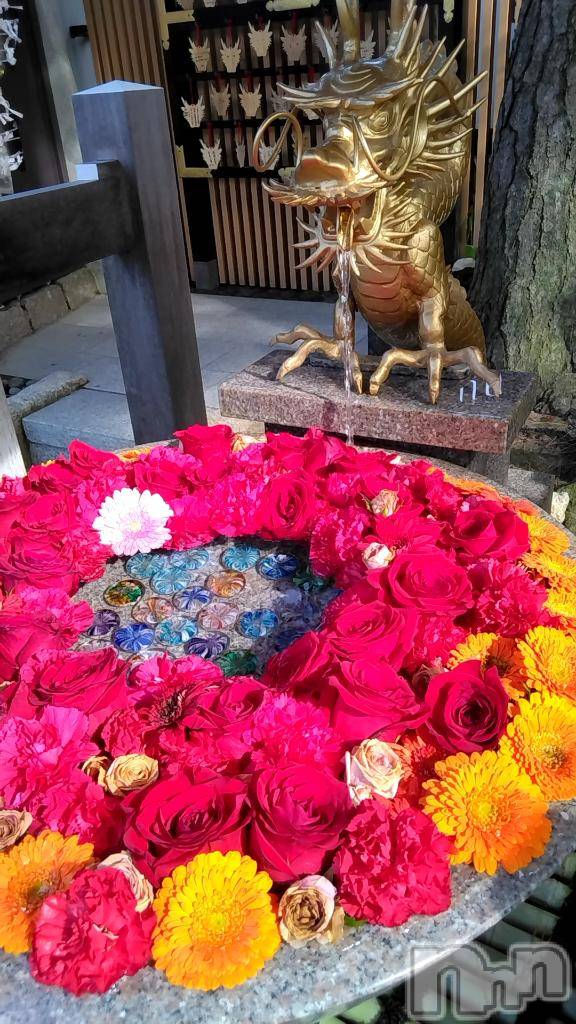 長岡デリヘルBIANCA～主人の知らない私～長岡店(ビアンカナガオカテン)鈴河　つぐみ(47)の2025年11月5日写メブログ「祈願✨」