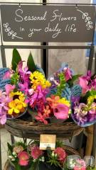 長岡デリヘルBIANCA～主人の知らない私～長岡店(ビアンカナガオカテン) 鈴河　つぐみ(47)の9月6日写メブログ「出勤🥰💫」