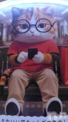 長岡デリヘルBIANCA～主人の知らない私～長岡店(ビアンカナガオカテン) 鈴河　つぐみ(47)の7月8日写メブログ「感謝と、土曜の出勤」