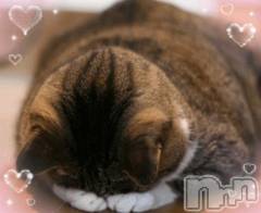 長岡デリヘルBIANCA～主人の知らない私～長岡店(ビアンカナガオカテン) 鈴河　つぐみ(47)の4月2日写メブログ「ごめん寝🥺💦'」