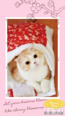 長岡デリヘル BIANCA～主人の知らない私～長岡店(ビアンカナガオカテン) 鈴河　つぐみ(47)の3月20日写メブログ「[お題]from:明日もがんばれるさん」