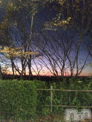 長岡デリヘル BIANCA～主人の知らない私～長岡店(ビアンカナガオカテン) 鈴河　つぐみ(47)の11月16日写メブログ「今の季節限定」