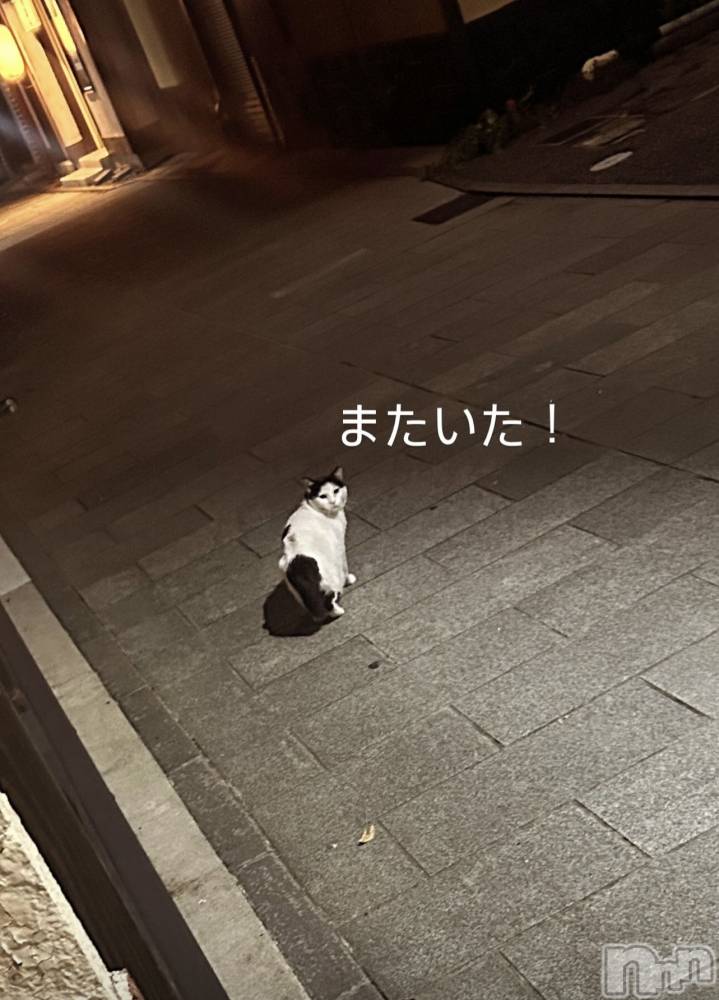 ĮХ顦La Clacion(鎥饷) ʤ922̥֥👀