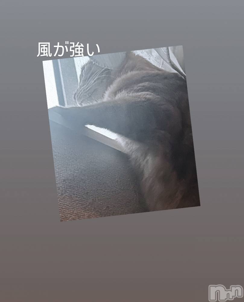 ĮХ顦La Clacion(鎥饷) ʤ102ַ̥֥ٲ