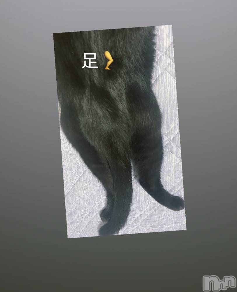 ĮХ顦La Clacion(鎥饷) ʤ1012̥֥🦶