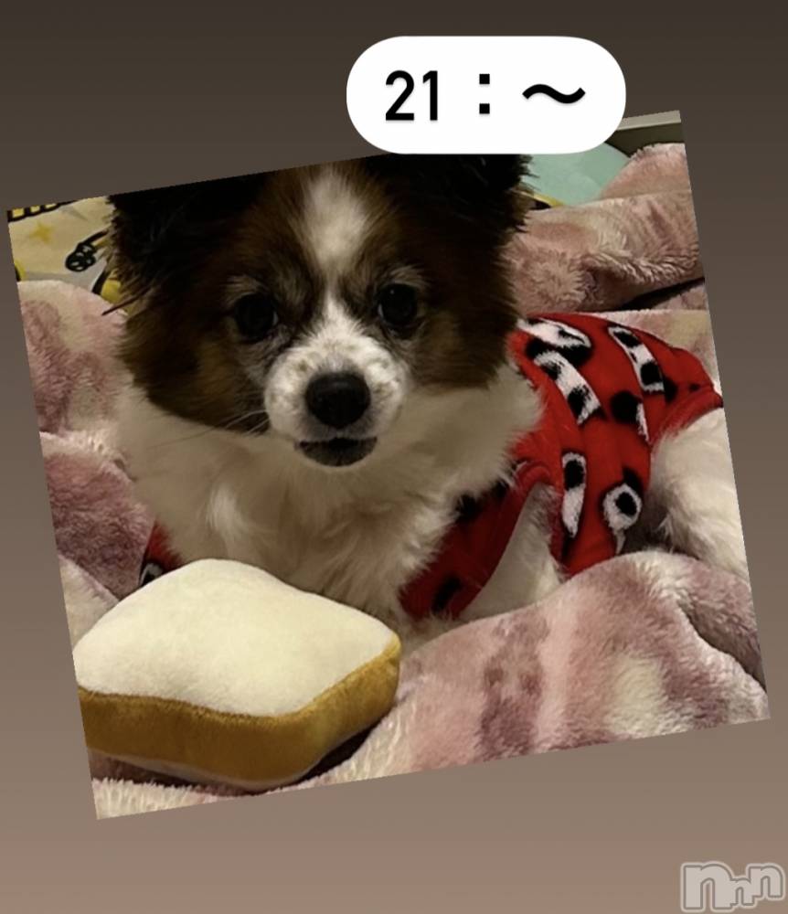ĮХ顦La Clacion(鎥饷) ʤ225̥֥🐶