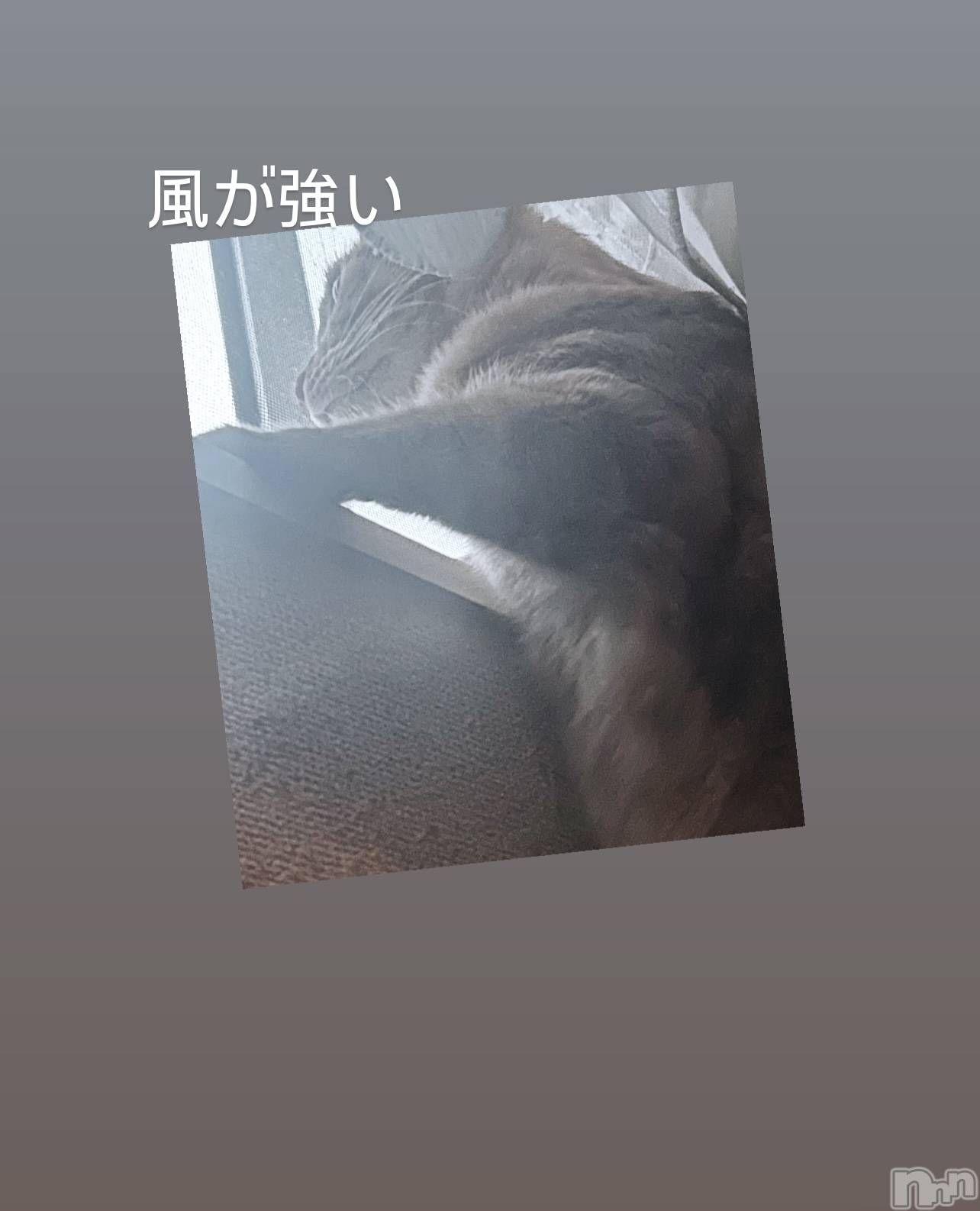 ĮХ顦La Clacion(鎥饷) 2024ǯ102ַ̥֥ٲ