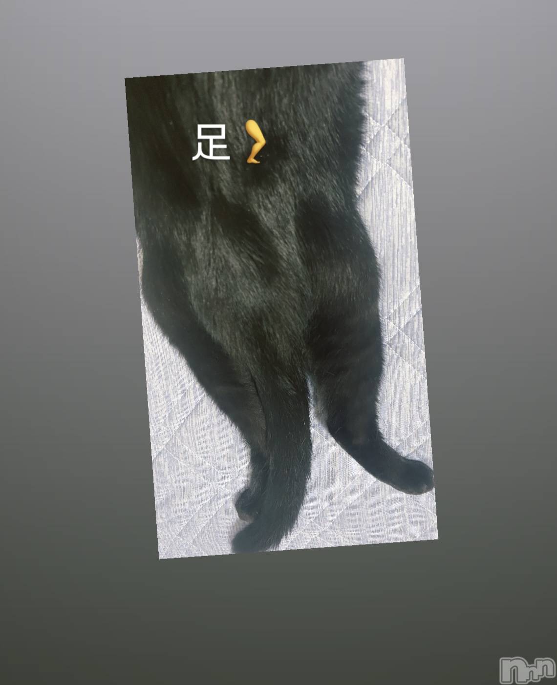 ĮХ顦La Clacion(鎥饷) 2024ǯ1012̥֥🦶