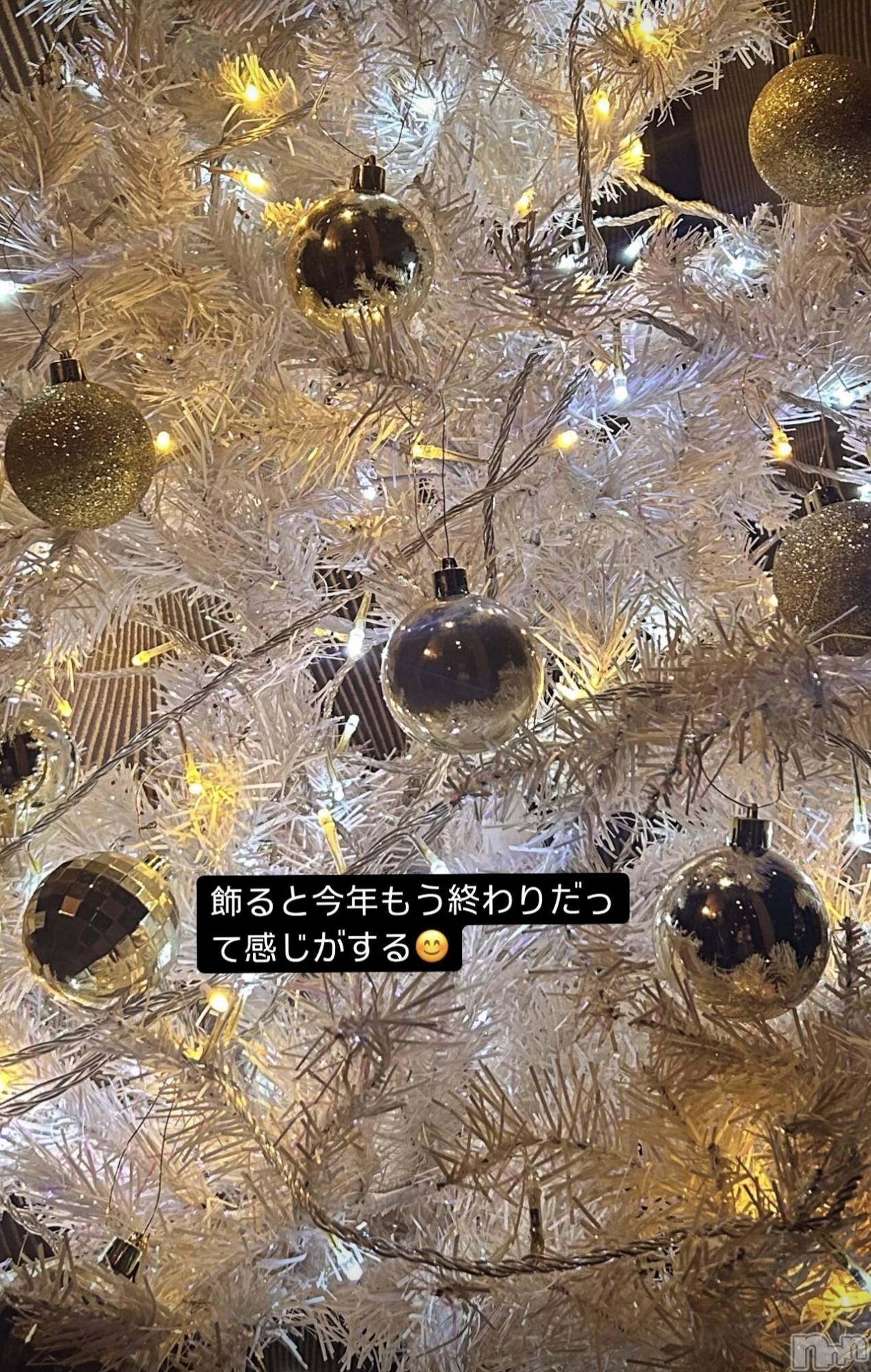 ĮХ顦La Clacion(鎥饷) 2024ǯ123̥֥🎄