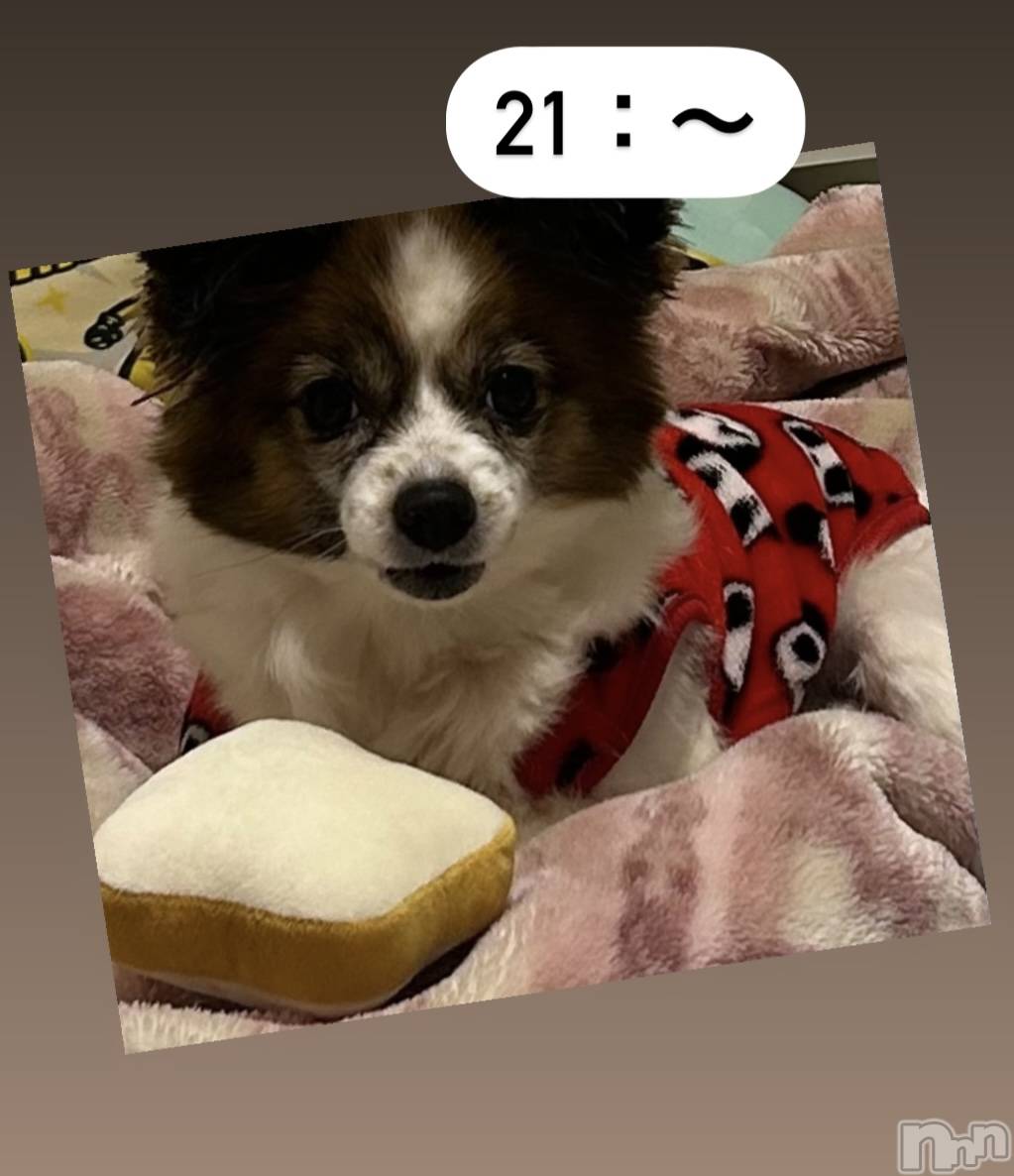 ĮХ顦La Clacion(鎥饷) 2025ǯ225̥֥🐶