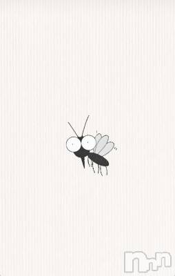 ĮХ顦La Clacion(鎥饷) ʤ828̥֥🐜