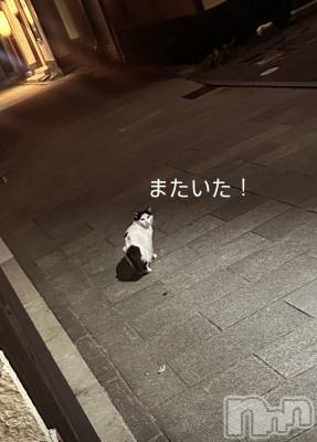 ĮХ顦La Clacion(鎥饷) ʤ922̥֥👀