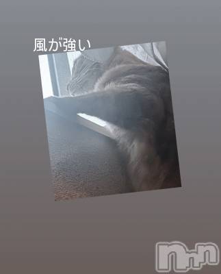 ĮХ顦La Clacion(鎥饷) ʤ102ַ̥֥ٲ