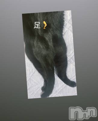 ĮХ顦La Clacion(鎥饷) ʤ1012̥֥🦶