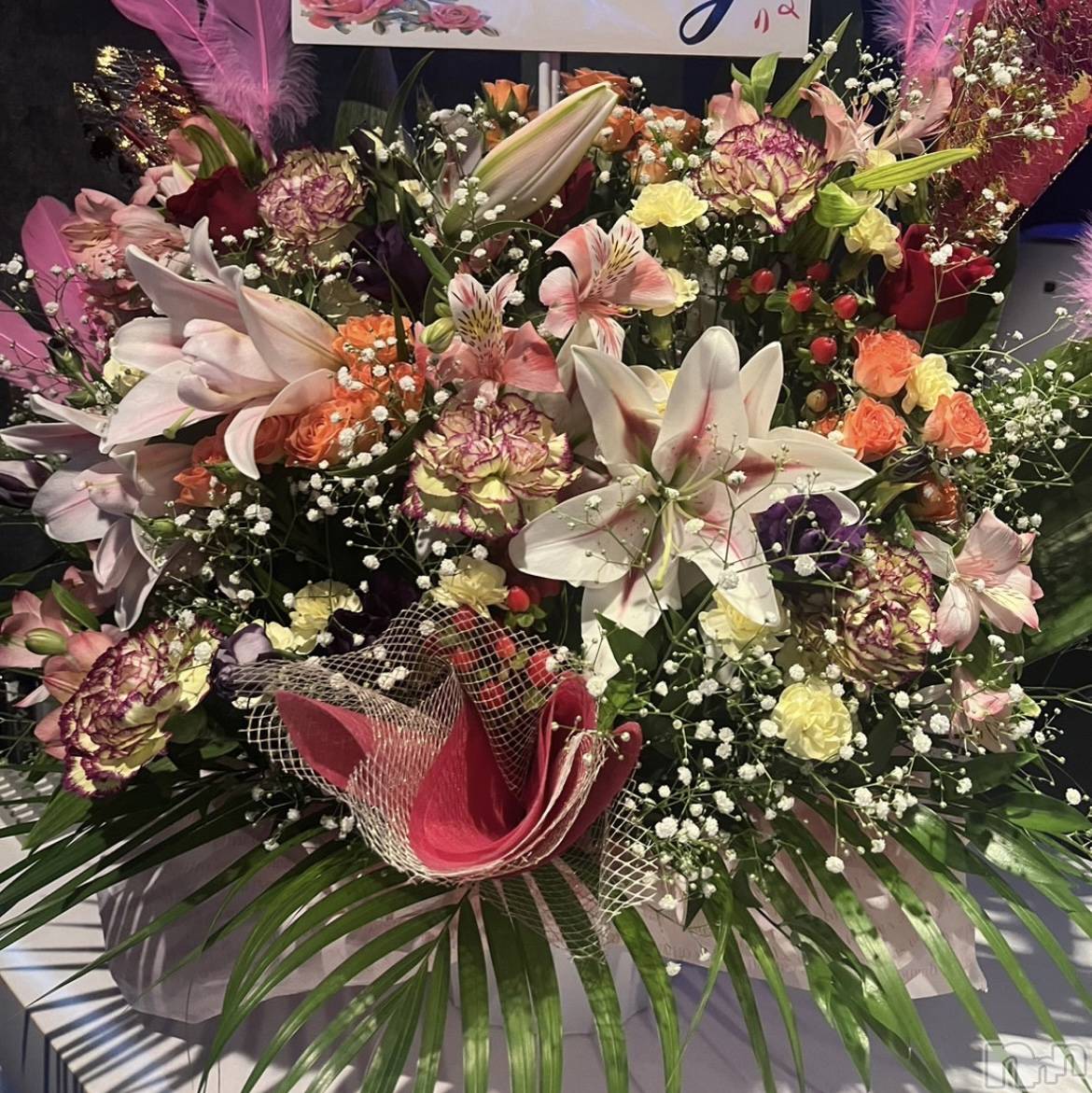 襳ѥ˥󥯥֥ѥ˥󥯥  IKI (ѥ˥󥯥֥) 2024ǯ1016̥֥💐💐💐