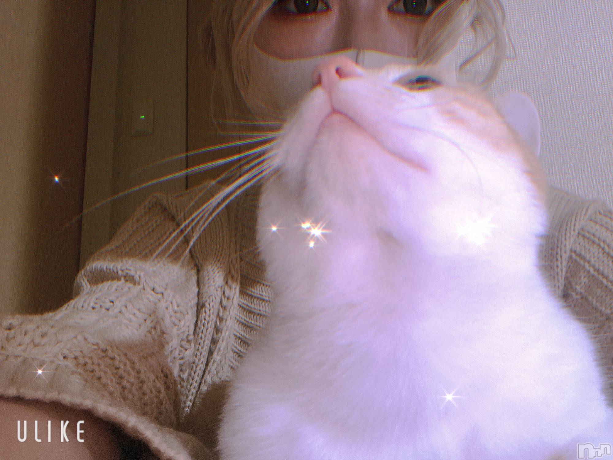ܱХ顦club Eight(֡) 2021ǯ418̥֥֤ˤ褦ӡ
