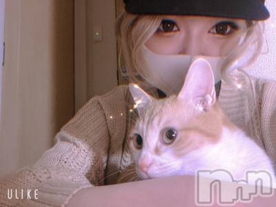 ܱХ顦club Eight(֡) ΤΤ(27)49̥֥֤Ϥʤ