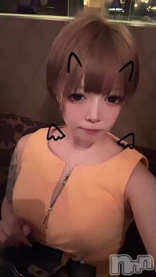 ¤