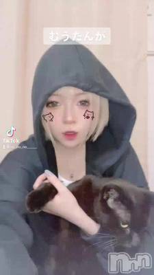 Tiktok!!