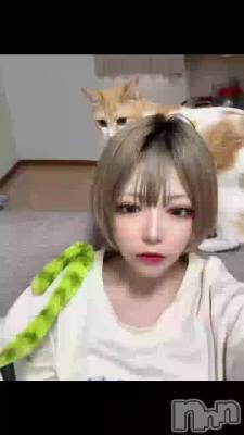 711 1842ʬΥ֥