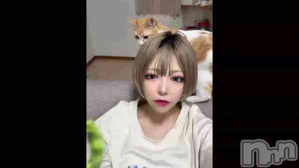 711 1842ʬΥ֥