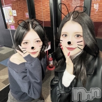 �ΤΤ� ����