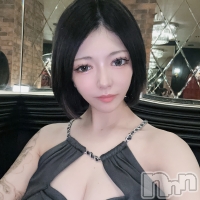 �ΤΤ� ����