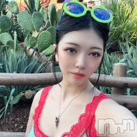 �ΤΤ� ����