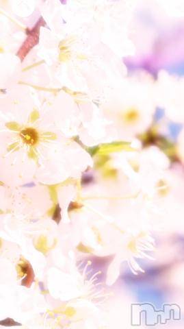 松本発人妻デリヘル松本人妻隊(マツモトヒトヅマタイ) めい(47)の4月2日写メブログ「桜が綺麗で。」