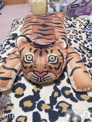 松本発デリヘル ELYSION （エリシオン）(エリシオン) 心翼 tsubasa (27)の3月9日写メブログ「なんでだろ(´-ω-`)」