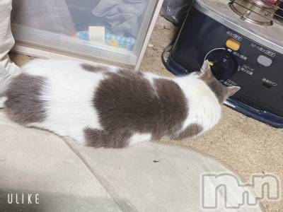 松本発デリヘル ELYSION （エリシオン）(エリシオン) 心翼 tsubasa (27)の4月3日写メブログ「行きたいー」