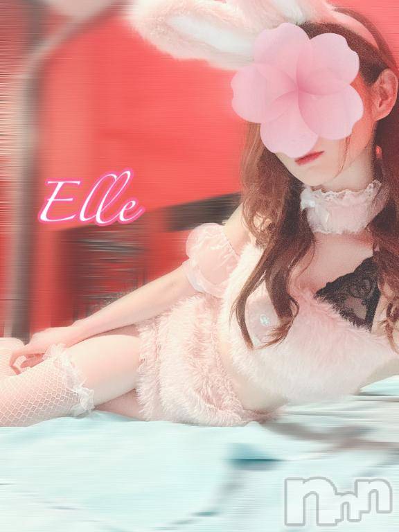 新潟ソープ新潟バニーコレクション(ニイガタバニーコレクション) エル(26)の2月14日写メブログ「帰宅♡お礼」