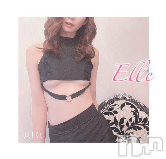 新潟ソープ新潟バニーコレクション(ニイガタバニーコレクション) エル(26)の2月16日写メブログ「ベールの中🩲覗いていい？」