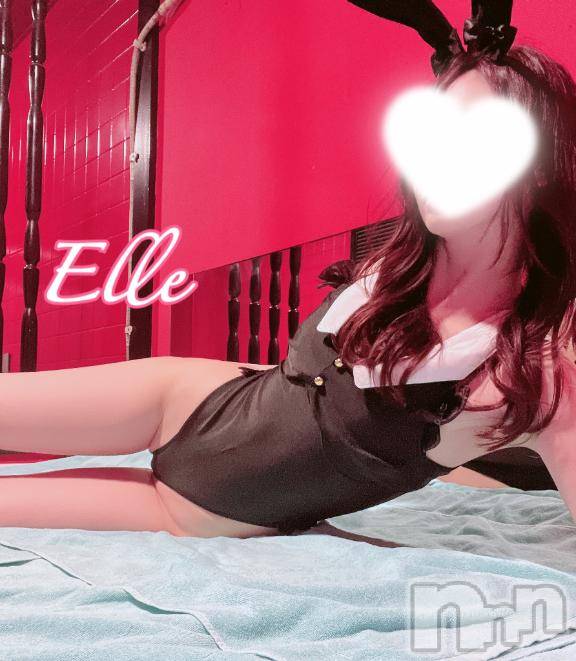 新潟ソープ新潟バニーコレクション(ニイガタバニーコレクション)エル(26)の2026年2月8日写メブログ「これが好きなんでしょ😛？」