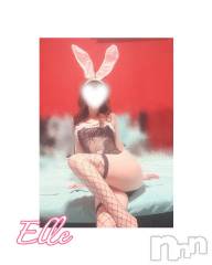 新潟ソープ新潟バニーコレクション(ニイガタバニーコレクション) エル(26)の8月24日写メブログ「帰宅♡お礼」