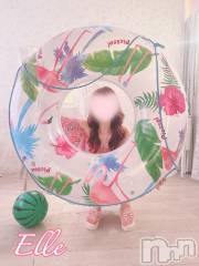 新潟ソープ新潟バニーコレクション(ニイガタバニーコレクション) エル(26)の8月31日写メブログ「帰宅♡お礼」