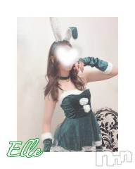 新潟ソープ新潟バニーコレクション(ニイガタバニーコレクション) エル(26)の11月2日写メブログ「帰宅♡お礼」