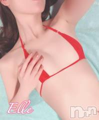 新潟ソープ新潟バニーコレクション(ニイガタバニーコレクション) エル(26)の1月28日写メブログ「脇を舐める変態やろう」