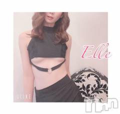 新潟ソープ新潟バニーコレクション(ニイガタバニーコレクション) エル(26)の2月16日写メブログ「ベールの中🩲覗いていい？」