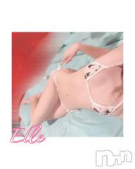 新潟ソープ新潟バニーコレクション(ニイガタバニーコレクション) エル(26)の2月20日写メブログ「👉🏻 肉食動物👈🏻」